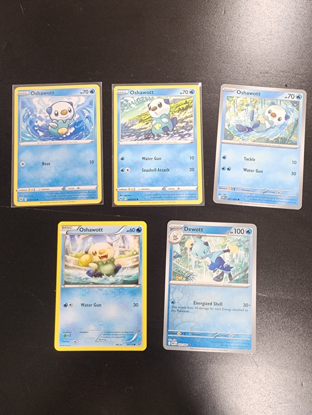 Oshawott & Dowott